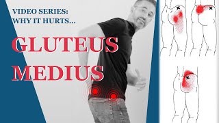 Gluteus Medius Pain  Fix Buttocks Pain amp Sacral Pain With Posture Exercises [upl. by Eerot849]