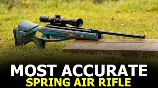 Top 10 Most Accurate Spring Air Rifle  Best Air Rifle for Hunting [upl. by Refinnaej]