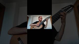 Le Papillon Op50 No3 Allegretto Part 2  Mauro Giuliani  10 String Guitar [upl. by Nydia]