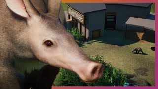 Brutalist Aardvark Habitat  Lets Play Planet Zoo [upl. by Ahtaga]