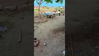 7 अक्तूबर 2024🐕 kutta baccha ka short video Bachpan Ka khela short video Kaise viral Karen video [upl. by Airalednac737]