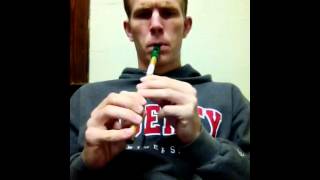 Irish Jigs  Walton D Pennywhistle [upl. by Forward231]