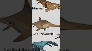 Typesofunderwaterdynosourus🥶 Ichthyosaurus [upl. by Reyaht]