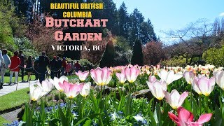 The Butchart Gardens Spring 2019 [upl. by Odnalor]