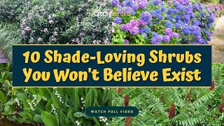 10 Best Shade Loving Shrubs You Wont Believe Exist 🌺👍  Gardening [upl. by Burrows793]