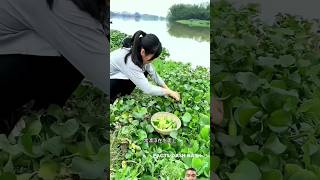 Chinese people become fair by eating this fruit viralvideo [upl. by Eulaliah]