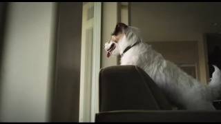 quotChewed Cablequot Commercial Featuring Jesse [upl. by Allenaj]