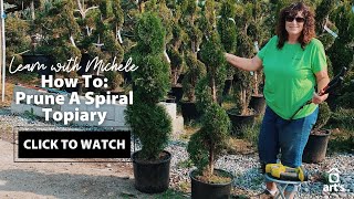 How To Prune A Spiral Topiary  Topiary Tour [upl. by Leatrice]