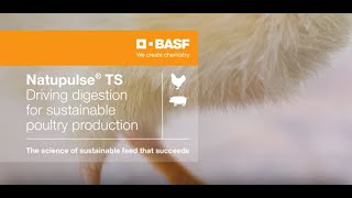 Natupulse® TS  Driving digestion with diverse modes of action [upl. by Ludba]