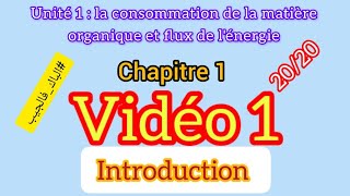 La consommation de la matière organique et le flux d’énergie [upl. by Ensoll748]