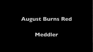 August Burns Red Meddler Lyrics and Meaning [upl. by Shama]