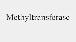 How to Pronounce Methyltransferase [upl. by Anerbas]