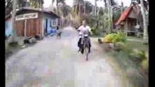 Koh Tao sairee beach 1998 [upl. by Schechter]