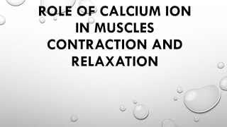 Role of calcium ion in Muscles Contraction and Relaxation  BioInorganic Chemistry [upl. by Ainyt]