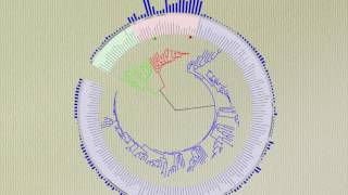 15 Second Science at AGU16  Tree of life [upl. by Nivre]