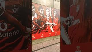 Benfica The Champions Wall [upl. by Stiruc]