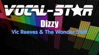 Vic Reeves amp The Wonder Stuff  Dizzy Karaoke Version with Lyrics HD VocalStar Karaoke [upl. by Ellehcem]