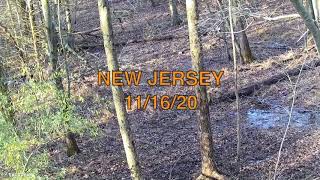 New Jersey Crossbow Hunt  Buck Kill On Tactacam Video [upl. by Nnaillij]