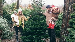 The Elf Has Arrived amp Picking Our Christmas Tree With The Family  Vlogmas Day 1 [upl. by Lluj]