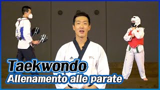 Taekwondo ep1 s3  Allenamento alle parate [upl. by Aitenev]