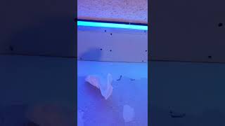 Installing Custom LED Lights In Master Bathroom [upl. by Aenert975]