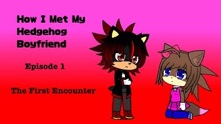 How I Met My Hedgehog Boyfriend  Episode 1 The First Encounter [upl. by Asusej]