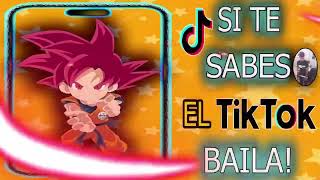 SI TE SABES EL TIKTOK BAILA  2024 [upl. by Akerdnahs]