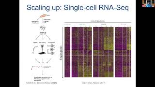 MIT Deep Learning Genomics  Lecture 15  Singlecell genomics Spring 2020 [upl. by Houser]