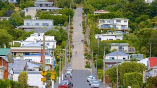 Worlds Steepest Street Dunedin City Ride South Island New Zealand 4K Video [upl. by Ianej]