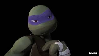 Zekrom Lighting AMVs make Donatello AMV Decoy now [upl. by O'Gowan]