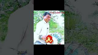 Loafer Loafer Jim Karen Lal Vahi Jhabua Balam Bhole chatting Kauwa YouTube short YouTube funny [upl. by Ientruoc]