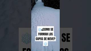 ❄️¿COMO SE FORMAN LOS COPOS DE NIEVE❄️shortsvideo school [upl. by Burkhart775]