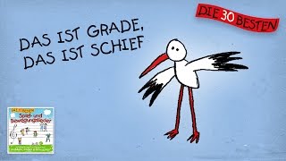 Das ist grade das ist schief  Die besten Spiel  und Bewegungslieder  Kinderlieder [upl. by Enelrae33]