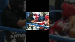 Edwin Valero  Sparring [upl. by Einobe811]