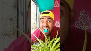 Giai điệu bóng bàn  Table tennis melody🤣🤣🤮 survival trending shortvideo shorts youtubeshorts [upl. by Nichole868]