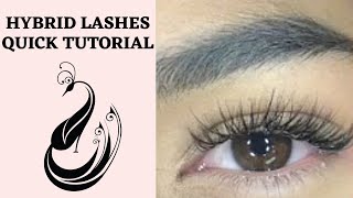 How to do Hybrid Eyelash Extensions  Eyelash Extensions 101 [upl. by Daitzman]