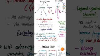 Quick revision of ANS Pharmacology for Dsssb and RRB Pharmacist exam 2024 [upl. by Nayve]