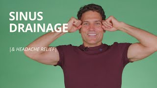 3 Sinus Headache Relief Exercises  Paranasal Sinus Drainage Massage [upl. by Ydaf]