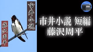 【朗読】「市井小説 短編」市井に生きる男女の哀歓と人情の機微を、鏤骨の文章でつづる珠玉の短編！【時代小説・歴史小説／藤沢周平】 [upl. by Kellda534]