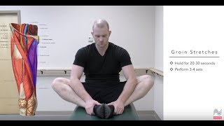 Top Treatments for a Pulled Groin  Groin Strain Exercises [upl. by Eniluap824]