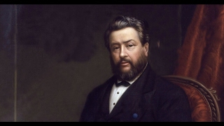 043 Treasury of David  Psalms 43 by Charles Spurgeon [upl. by Aileda]