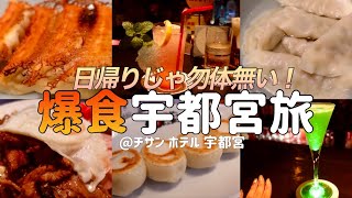 【爆食一人旅】餃子だけじゃないぞ！宇都宮！でもやっぱり餃子を食べまくった２日間！【チサン ホテル 宇都宮】 [upl. by Pfeifer89]