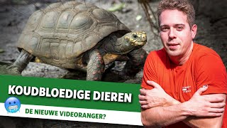 Wat zijn koudbloedige dieren [upl. by Perloff797]