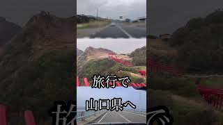 フィアット フィアット500 アバルト アバルト595 角島 角島大橋 角島ジェラートゼロカフェ [upl. by On]