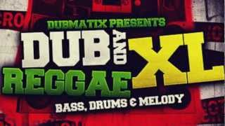 Dub amp Reggae Samples and Loops  Loopmasters Dub amp Reggae XL [upl. by Warde]