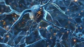 Inside Neurochemistry How the Brain Creates Reality [upl. by Ching660]