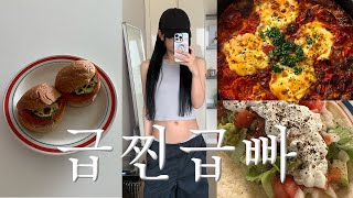 50kg⇢48kg 급찐급빠 5일 다이어트 브이로그 ✲ 굶지 않고 맛있는거 다 먹으면서 붓기 빼는 방법 🌮 다이어트 레시피 [upl. by Stutman]