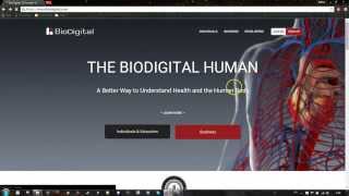 BioDigital Human Tutorial  part 1 [upl. by Lauraine]