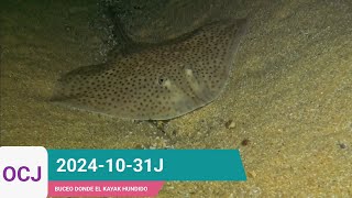 20241031J OCJ BUCEO NOCTURNO EN PLAYAS DE BELUSO BUEU [upl. by Anstus]