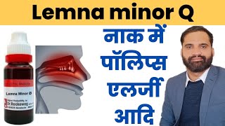 Lemna minor q uses in hindi  Lemna minor mother tincture  Lemna minor 30 200 uses in hindi [upl. by Prinz433]